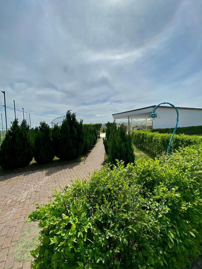 Apartmán Green Oasis Stolniceni-Prajescu Exteriér fotografie