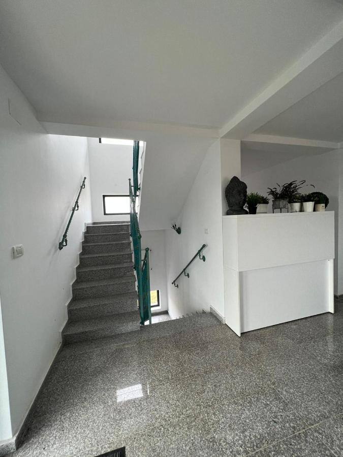 Apartmán Green Oasis Stolniceni-Prajescu Exteriér fotografie