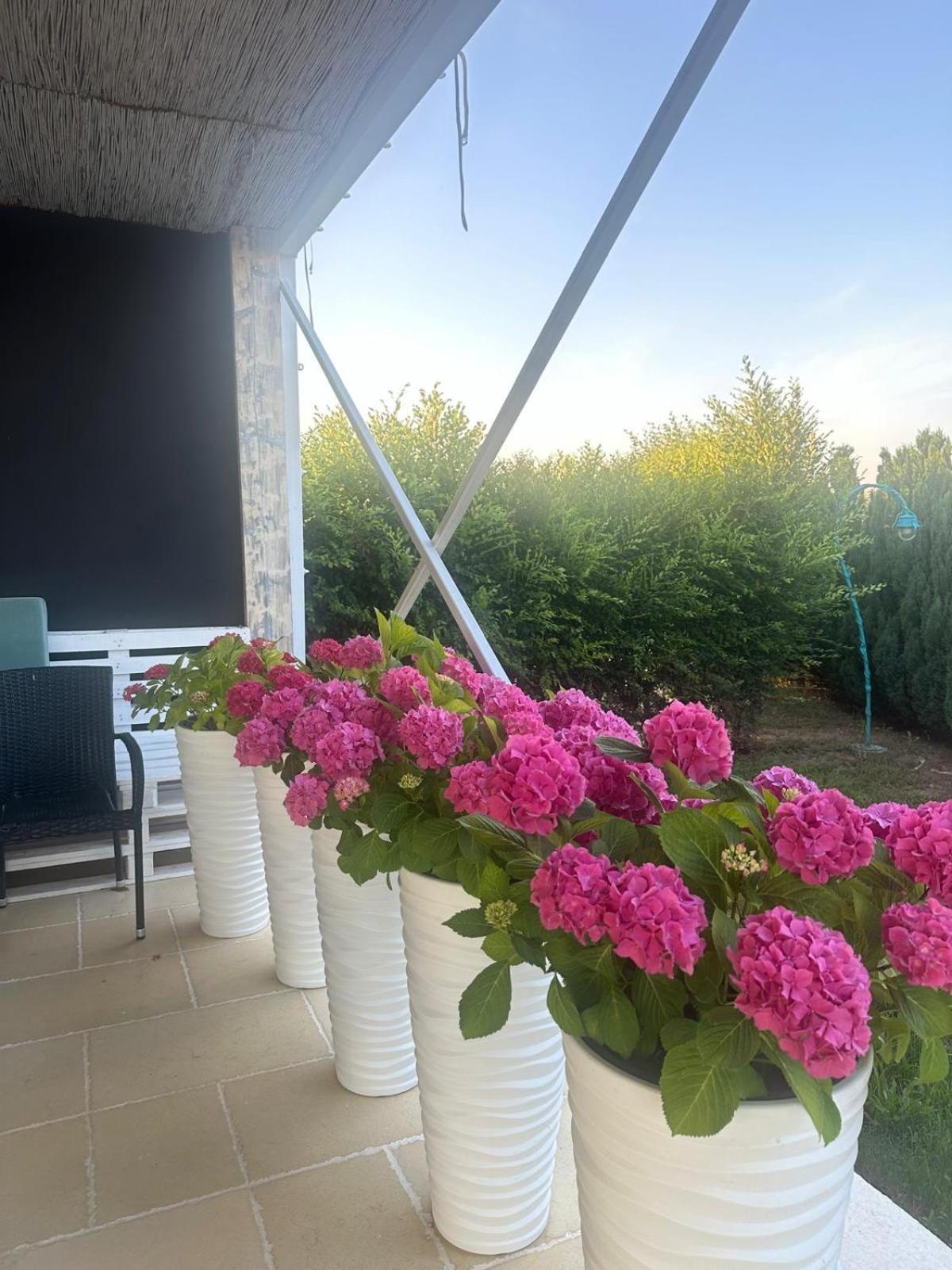 Apartmán Green Oasis Stolniceni-Prajescu Exteriér fotografie
